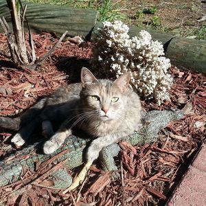 Meet your Posher, Suzanne